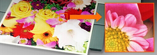 柯尼卡美能達C281原裝碳粉輸出效果 柯尼卡美能達C281原裝碳粉輸出效果