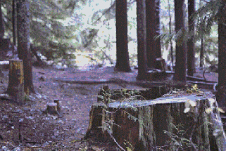 ▲地球環(huán)境不斷惡化 ▲地球環(huán)境不斷惡化